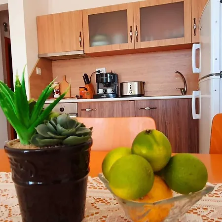 Relax From The Paradise In The Heart Of Apartment Sveti Vlas